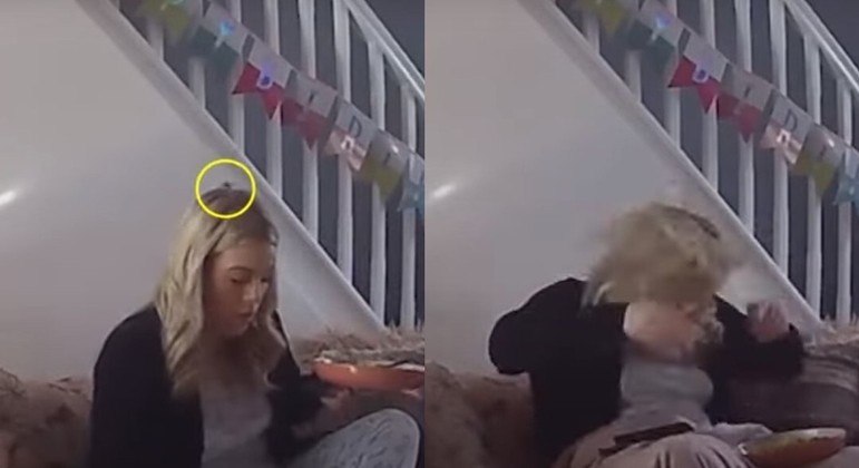 O animal andava tranquilamente na cabeça de Rosie quando foi encontrado