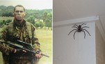 Um morador de Cairns, na Austrália, afirmou dividir a casa onde vive com uma aranha-caçadora-gigante há pelo menos 1 ano