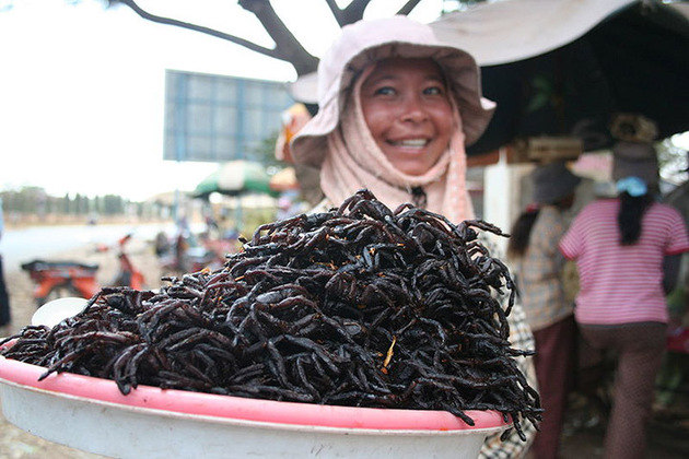 Aranha frita - Comum no Camboja, o petisco é feito com tarântulas ou caranguejeiras. Se a aranha for venenosa, os pelos são retirados para eliminar o veneno. O tempero leva sal, açúcar, pimenta e alho. 