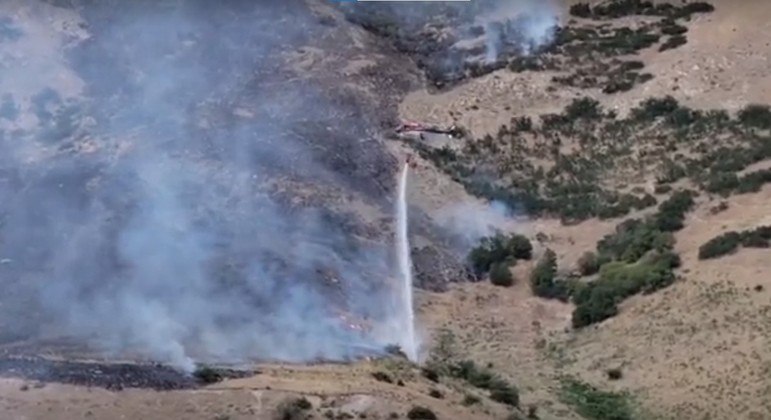 Área florestal em montanha foi incendiada após um sujeito tentar queimar uma aranha