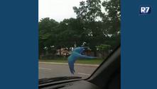 Vídeo: arara é flagrada voando entre carros no Distrito Federal