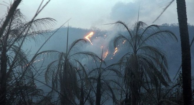 Especialistas consideram que somente chuvas intensas podem apagar completamente novos incêndios no bioma