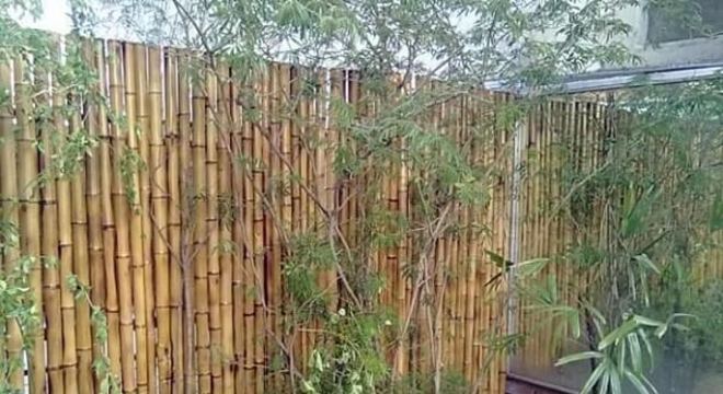 Área externa delimitada com cerca de bambu