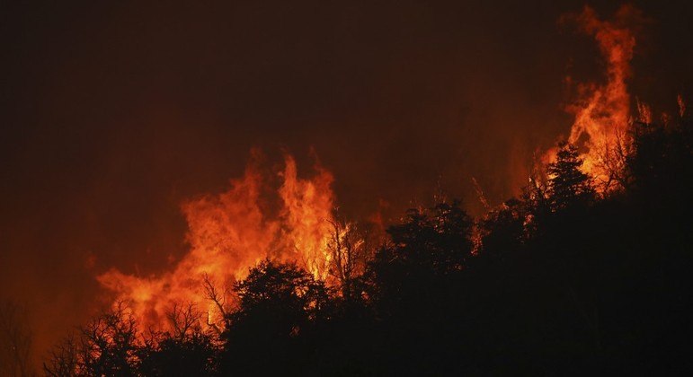 Incêndios florestais na Patagônia já duram 40 dias
