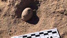 Paleontólogos encontram 160 ovos de aves pré-históricas na Argentina