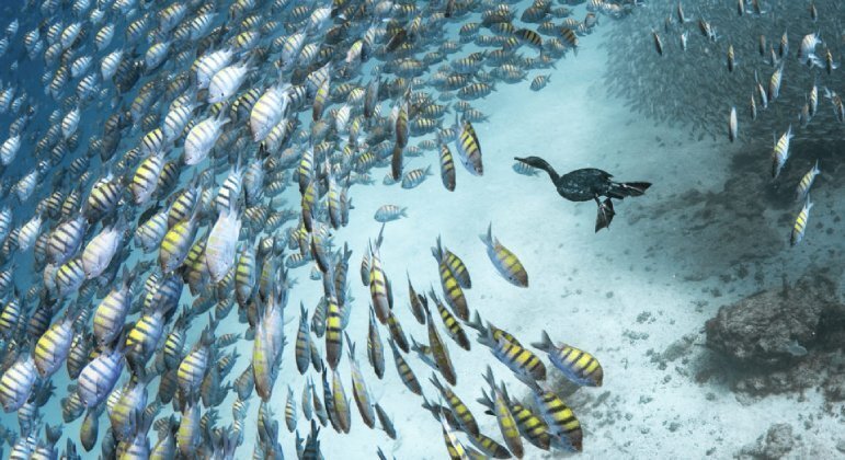 A fotógrafa espanhola Merche Llobera levou o prêmio da categoria feminina. A carreira dela é dedicada a captar a beleza e a&nbsp;essência da vida aquática selvagemBombou em TEC!&nbsp;Pesquisadores treinam IA para identificar como as galinhas se sentem: 'Salto para a ciência'