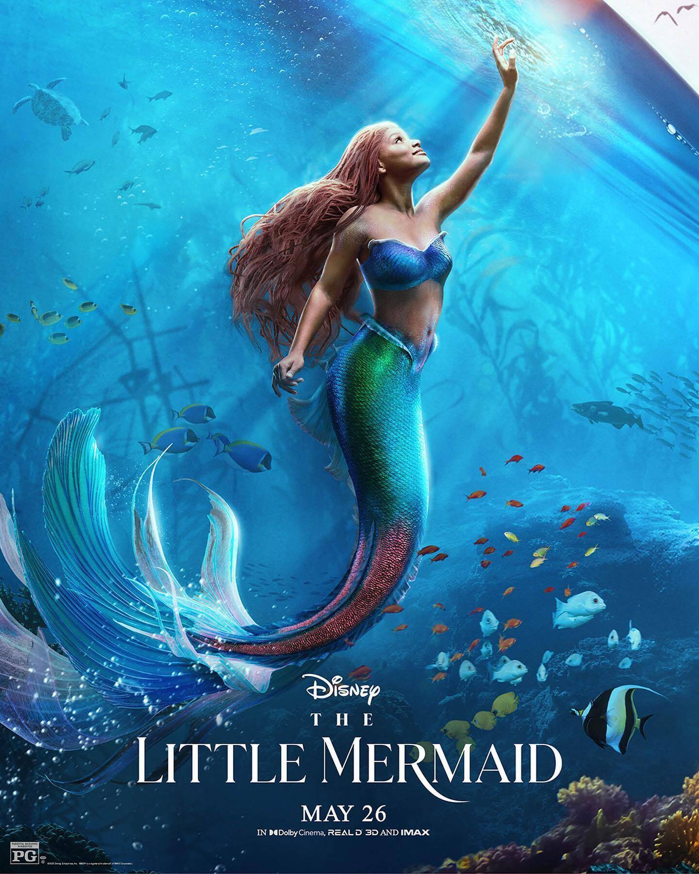 Capa para Realme X2 Pro Oficial da Disney Ariel e Sebastião com