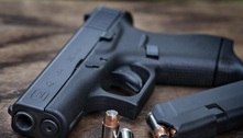 Quantidade de armas de fogo nas mãos de civis ultrapassa a utilizada em órgãos públicos no país