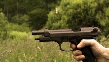 CCJ do Senado adia votação do projeto sobre liberação de armas 