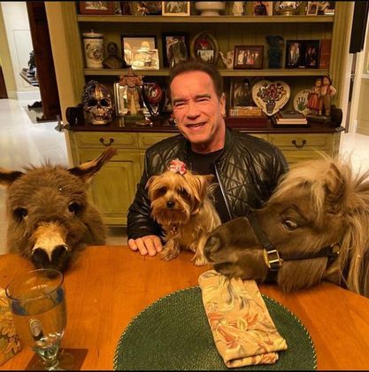 Arnold Schwarzenegger: O ator postou uma foto nas redes sociais ao lado do que parece ser um pônei e um… burro?