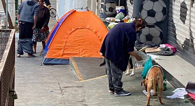Cães vivem acorrentados e sofrem maus-tratos na Bela Vista, no centro de SP