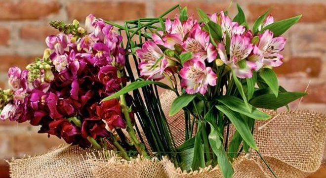 Arranjo de astromelia