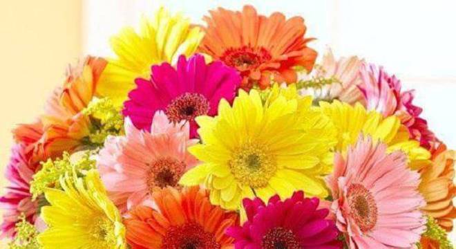 Arranjos com gérberas coloridas decoram o ambiente