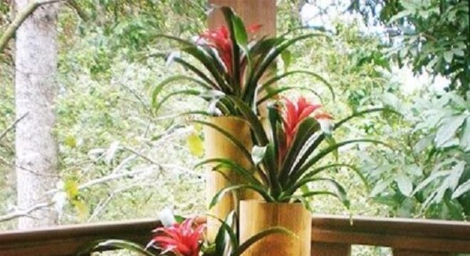 Artesanato com bambu para plantas encanta a decoração da varanda