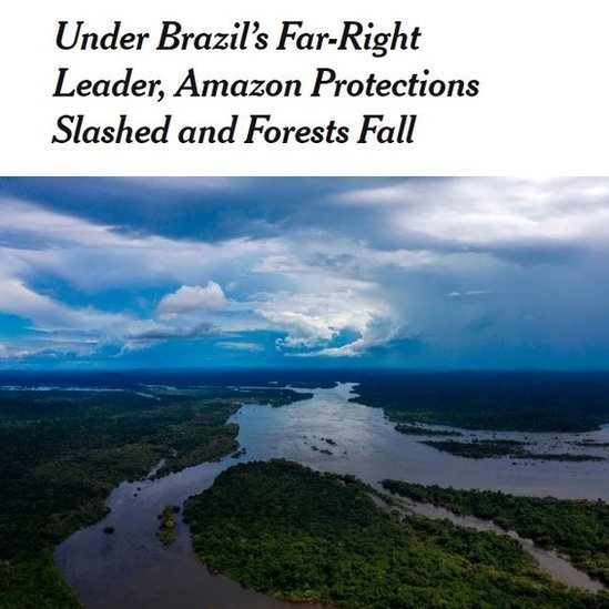 The New York Times aponta que desmatamento na Amazônia acelerou durante governo Bolsonaro 