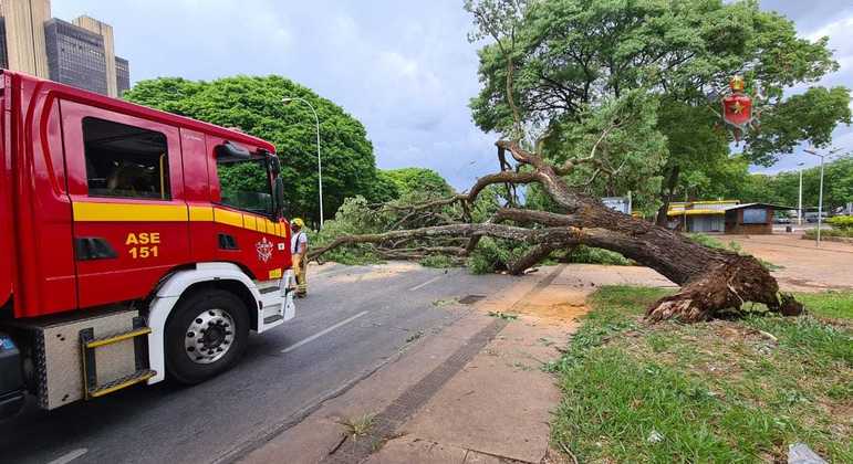 Fim de semana será de chuvas no DF