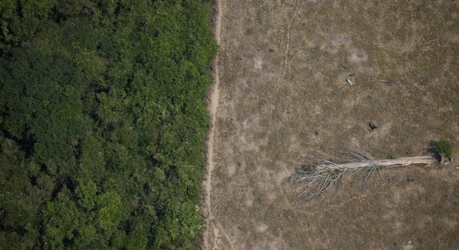 Estimativas apontam que Amazônia pode sofrer dano ambiental irreversível em até 30 anos