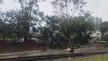 Temporal provoca alagamentos e derruba árvores em São Paulo
