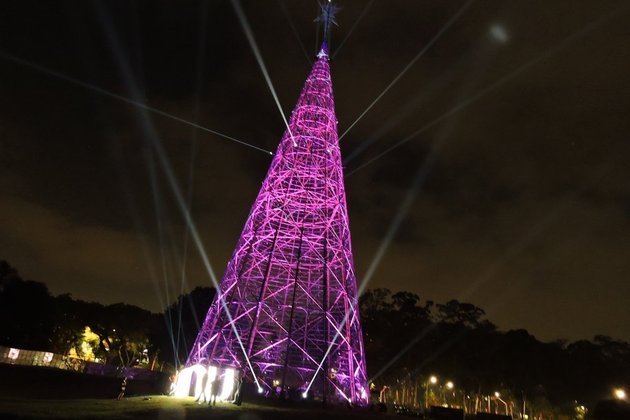 Com 57 metros, árvore de Natal do Ibirapuera é inaugurada e é a maior da  cidade de SP; entrada é gratuita, Guia SP