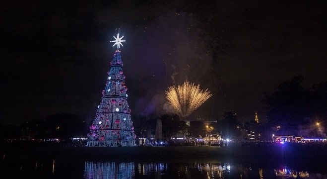 Em São Paulo, árvore de Natal no Ibirapuera é inaugurada - Notícias - R7  São Paulo