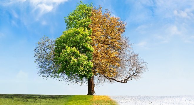 A maior ou menos distância do Sol durante o afélio ou o periélio não têm nada a ver com as variações de temperatura durante as estações do ano