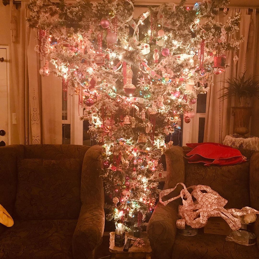 Se vira, Noel! Árvores de Natal de ponta-cabeça dominam as redes - Fotos -  R7 Hora 7