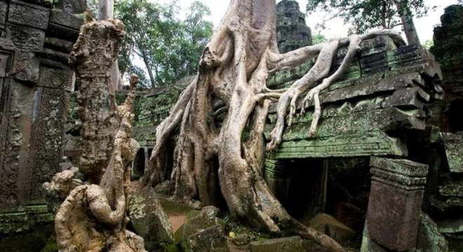 Árvores e raízes ocuparam o templo Ta Prohm no Camboja