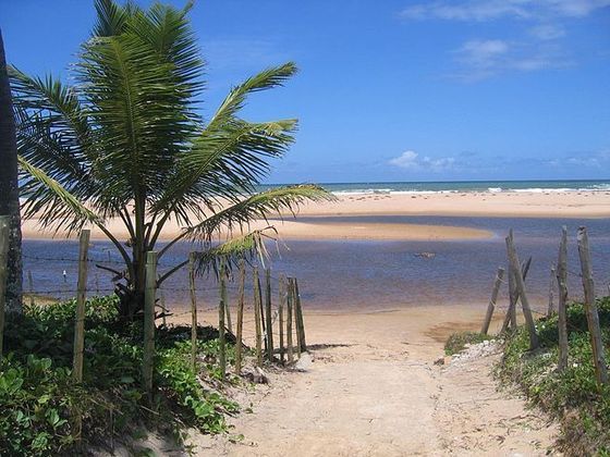 As dunas das praias do Imbassaí, na Bahia, são margeadas pelo Rio Imbassaí e por diversas cascatas. O acesso é só para pedestres, pois a natureza criou uma barreira natural para veículos. 