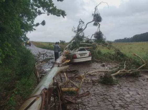 As fortes chuvas também chegaram a Santa Catarina. Na região oeste do estado uma pessoa morreu devido à queda de uma árvore.