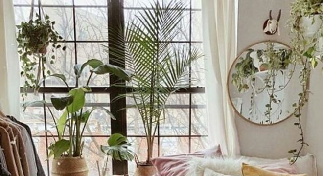 As plantas para quarto transmitem descontração ao espaço