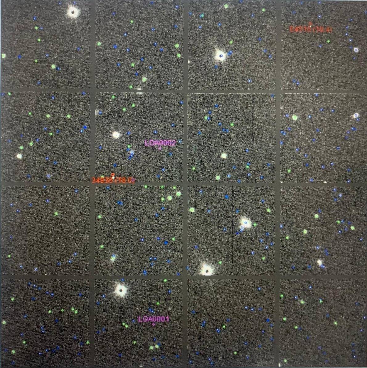 Os quatro asteroides descobertos por Lorrane