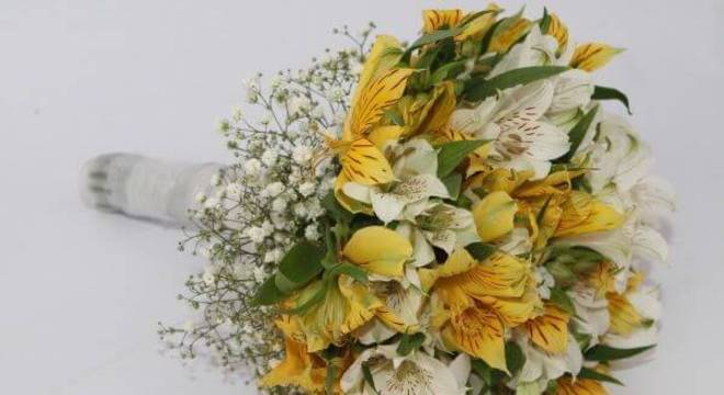 Astromelia amarela com branco 