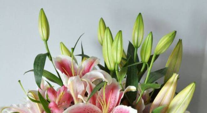 Astromélia lilás com lírio