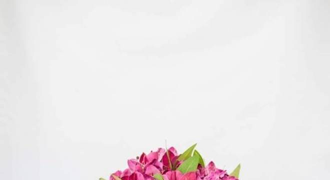 Astromélia na decoração de casa 