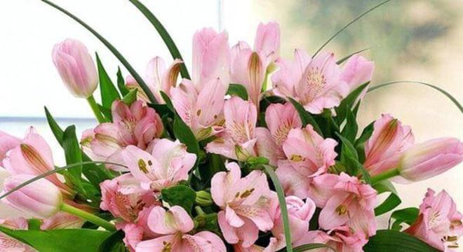 Astromelia rosa com vaso de vidro