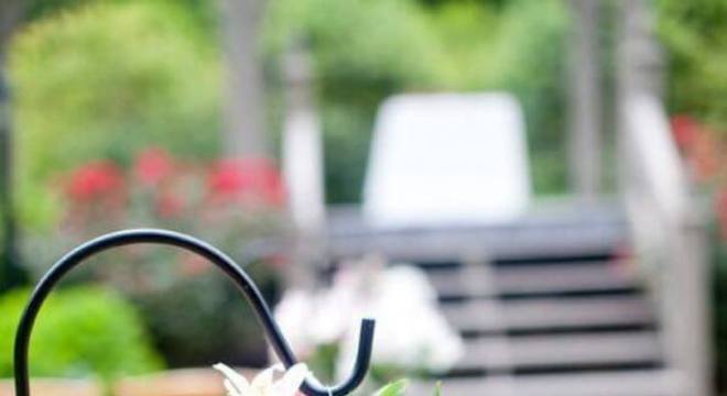 Astromelia rosa e branco