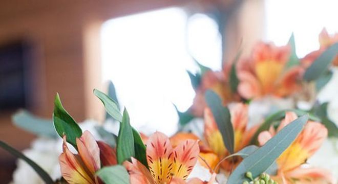 Astromélias cor de rosa com amarelo