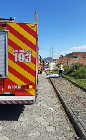 Bombeiros e Samu tentaram reanimar dupla, que não resistiu