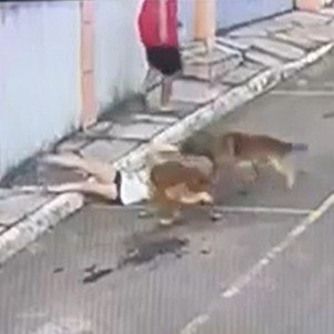 Momento do ataque
