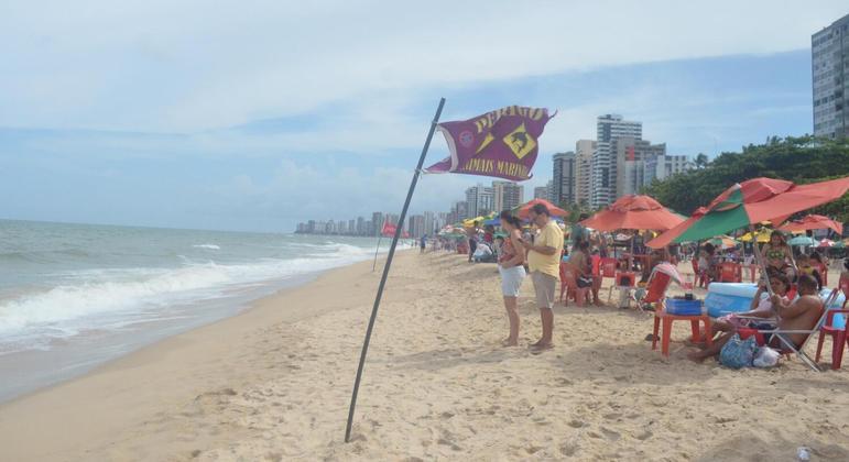 Em todo o estado, foram 77 incidentes com esses animais desde 1992