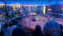 Leoa ataca domador e transforma apresentação de circo em caos