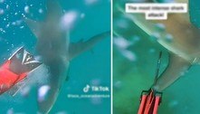 Escapou com chute! Aventureiro filma o 'mais intenso ataque de tubarão' durante mergulho