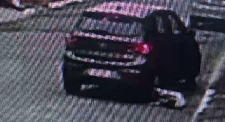 Homem deu ré no veículo e passou por cima do cachorro, que ficou preso na roda traseira 