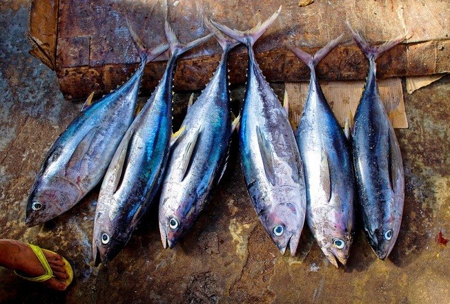 Já
para abaixar o colesterol são recomendadas as carnes brancas, peixes de água
fria e profunda, como arenque, sardinha, salmão e atum, aveia, pães integrais,
farinha de linhaça, alguns temperos como alho, cebola e azeite, arroz e feijão
em pouca quantidade, chocolate (quanto mais amargo melhor) e as oleaginosas,
que ajudam a retirar as moléculas de colesterol, mas devem ser consumidas com
moderação