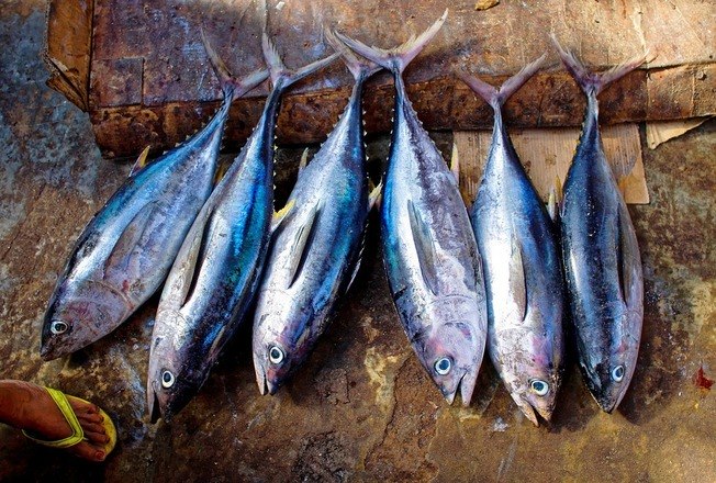 JÃ¡
para abaixar o colesterol sÃ£o recomendadas as carnes brancas, peixes de Ã¡gua
fria e profunda, como arenque, sardinha, salmÃ£o e atum, aveia, pÃ£es integrais,
farinha de linhaÃ§a, alguns temperos como alho, cebola e azeite, arroz e feijÃ£o
em pouca quantidade, chocolate (quanto mais amargo melhor) e as oleaginosas,
que ajudam a retirar as molÃ©culas de colesterol, mas devem ser consumidas com
moderaÃ§Ã£o