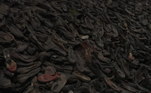 Sapatos pertencentes a judeus, obrigados a se despir de todos os seus pertences ao entrarem no campo 