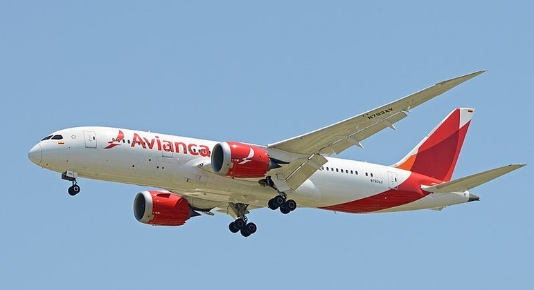 Avianca: novas regras para transporte aéreo de pets