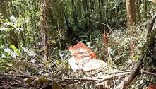 FAB lamenta morte de dois militares em queda de avião em SC