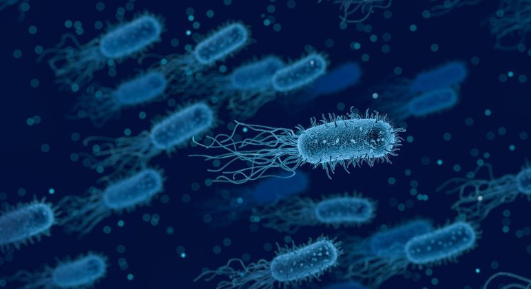 Melhorar microbiota envolve mudança alimentar e prática de atividades físicas