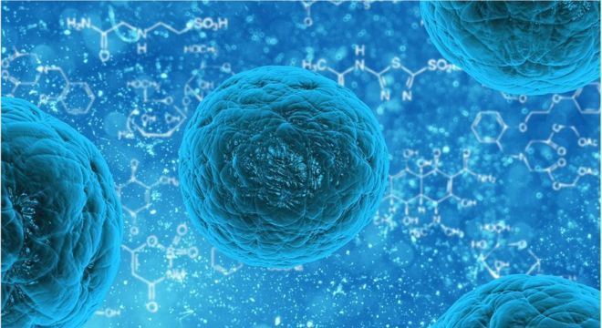 Um século atrás, alguns poucos estudos descobriram uma ligação entre alimentação e saúde mental. Agora, evidências mostram que bactérias que carregamos dentro de nós podem influenciar como nos sentimos